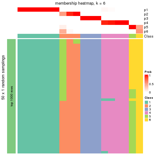 plot of chunk tab-node-032-membership-heatmap-5