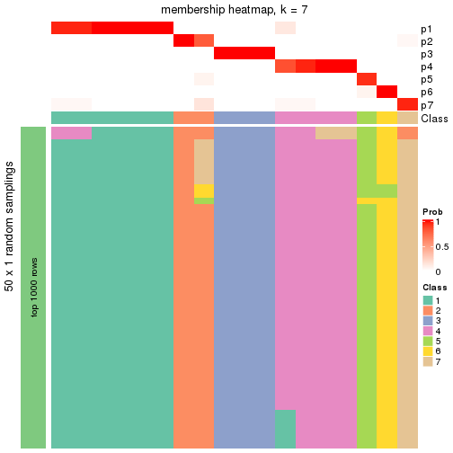 plot of chunk tab-node-032-membership-heatmap-6