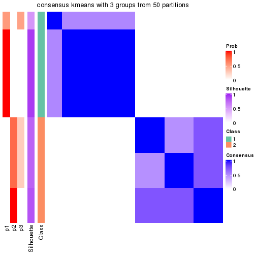 plot of chunk tab-node-033-consensus-heatmap-2