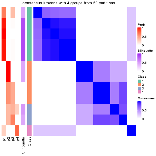 plot of chunk tab-node-033-consensus-heatmap-3