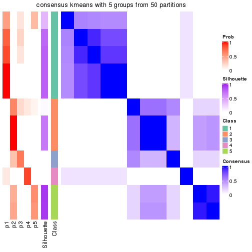 plot of chunk tab-node-033-consensus-heatmap-4