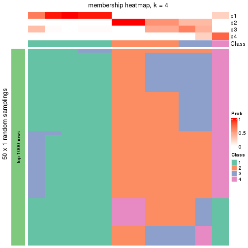 plot of chunk tab-node-033-membership-heatmap-3