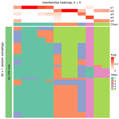 plot of chunk tab-node-033-membership-heatmap-4