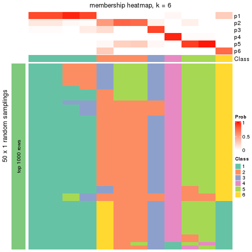 plot of chunk tab-node-033-membership-heatmap-5