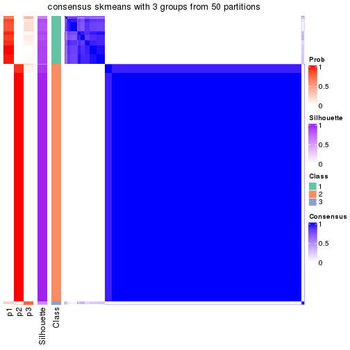 plot of chunk tab-node-0-consensus-heatmap-2