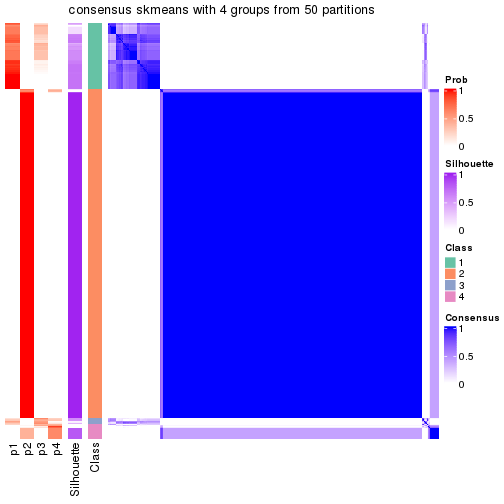 plot of chunk tab-node-0-consensus-heatmap-3