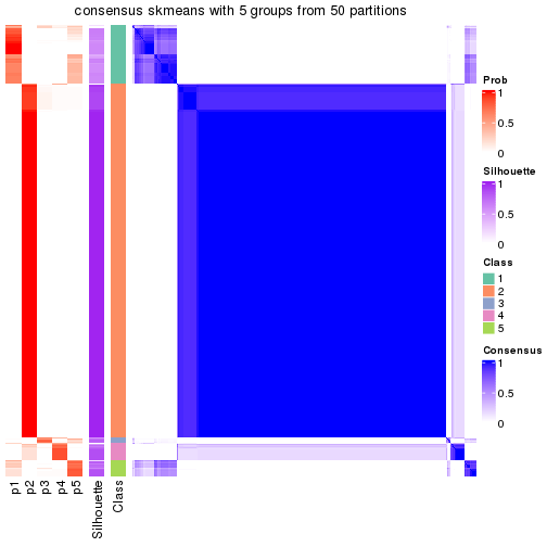 plot of chunk tab-node-0-consensus-heatmap-4