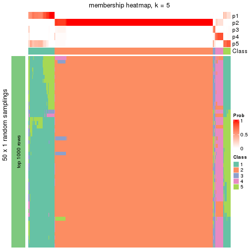 plot of chunk tab-node-0-membership-heatmap-4