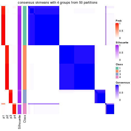 plot of chunk tab-node-01-consensus-heatmap-3