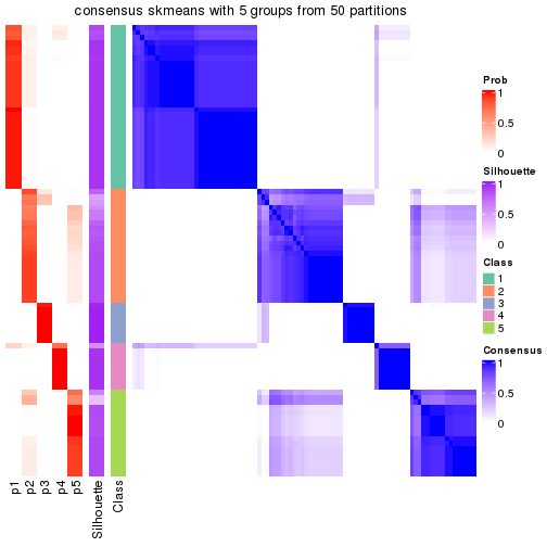 plot of chunk tab-node-01-consensus-heatmap-4