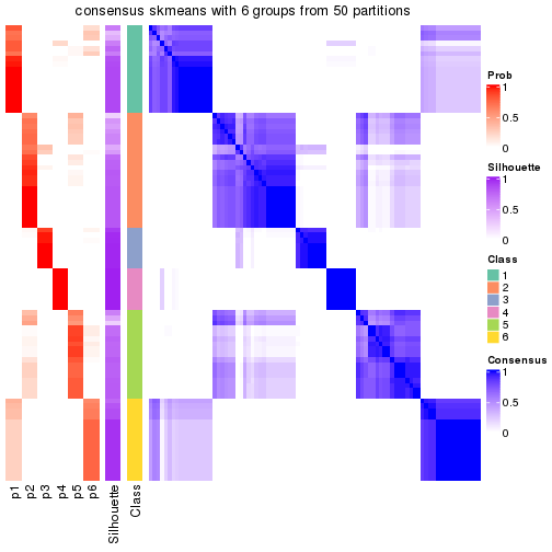 plot of chunk tab-node-01-consensus-heatmap-5