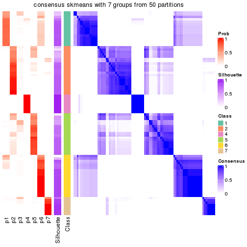 plot of chunk tab-node-01-consensus-heatmap-6