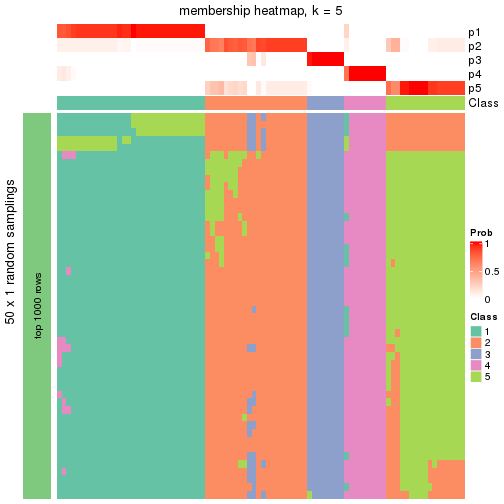 plot of chunk tab-node-01-membership-heatmap-4