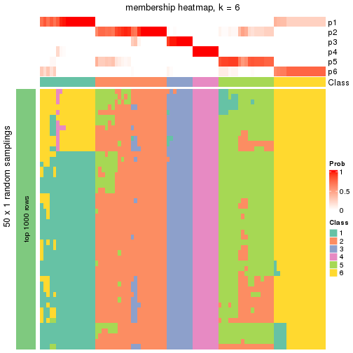 plot of chunk tab-node-01-membership-heatmap-5