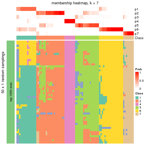 plot of chunk tab-node-01-membership-heatmap-6