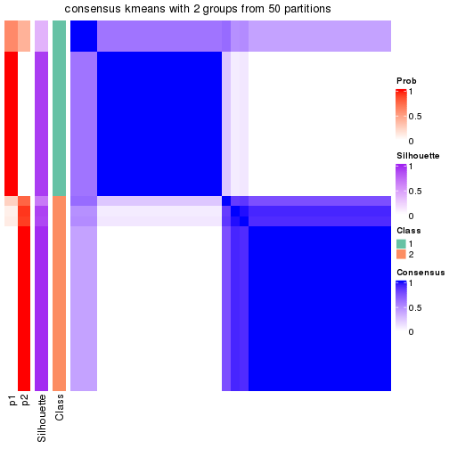 plot of chunk tab-node-012-consensus-heatmap-1