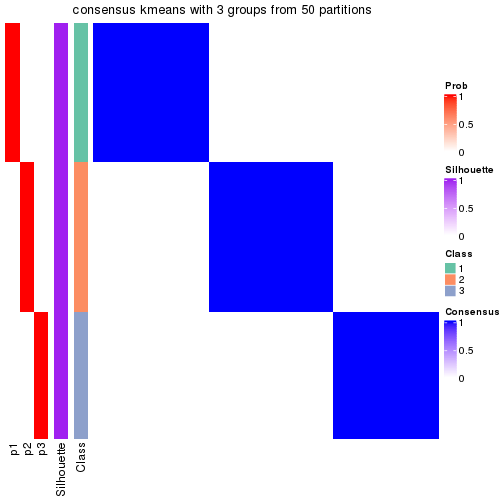 plot of chunk tab-node-012-consensus-heatmap-2