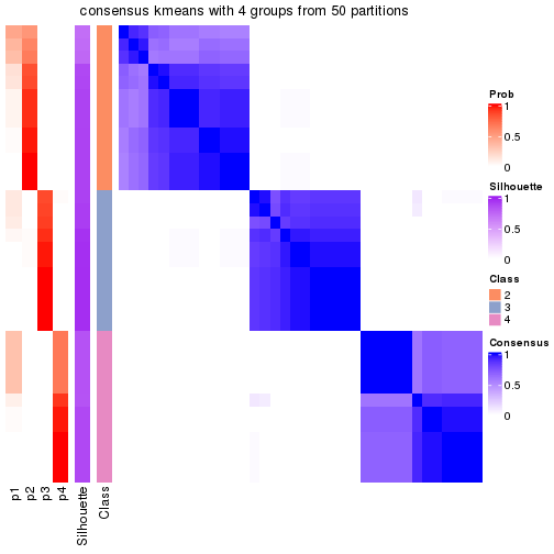 plot of chunk tab-node-012-consensus-heatmap-3