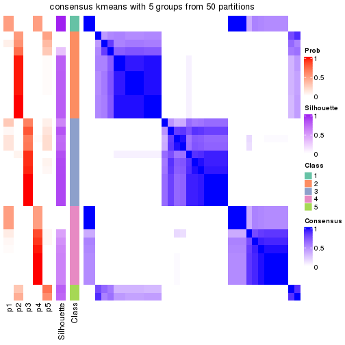 plot of chunk tab-node-012-consensus-heatmap-4