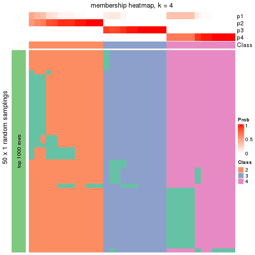 plot of chunk tab-node-012-membership-heatmap-3