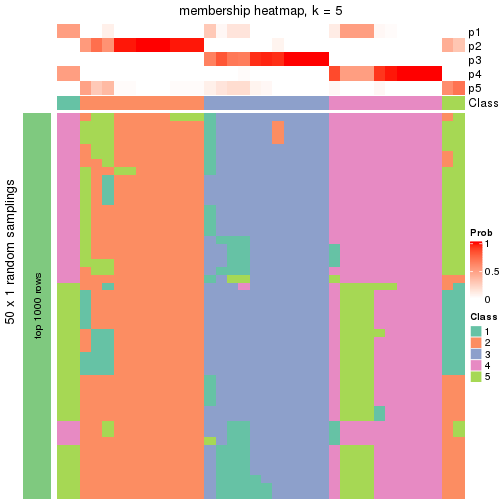 plot of chunk tab-node-012-membership-heatmap-4