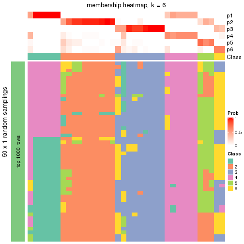 plot of chunk tab-node-012-membership-heatmap-5