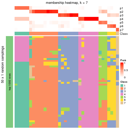 plot of chunk tab-node-012-membership-heatmap-6