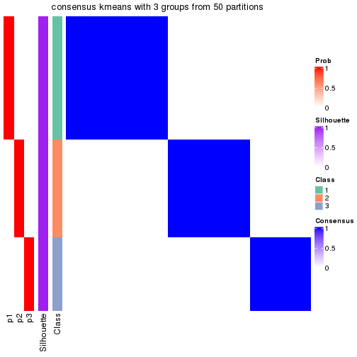 plot of chunk tab-node-0121-consensus-heatmap-2