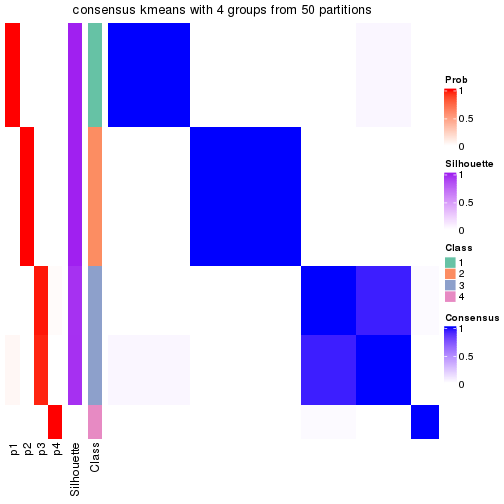 plot of chunk tab-node-0121-consensus-heatmap-3