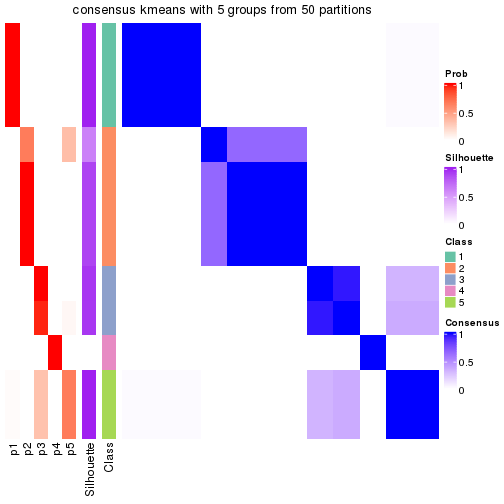 plot of chunk tab-node-0121-consensus-heatmap-4