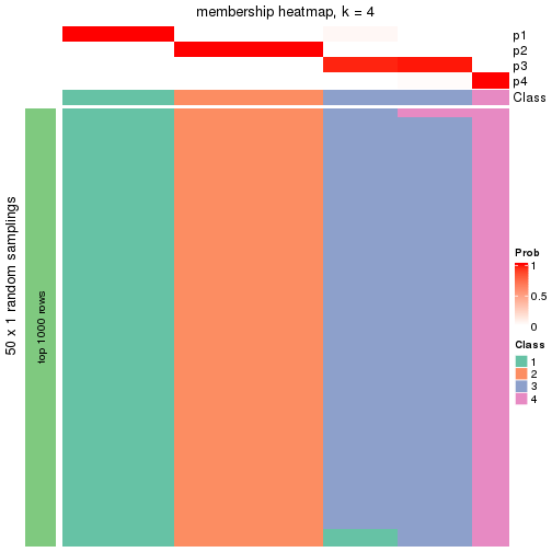 plot of chunk tab-node-0121-membership-heatmap-3