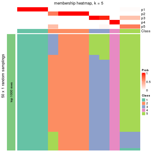 plot of chunk tab-node-0121-membership-heatmap-4