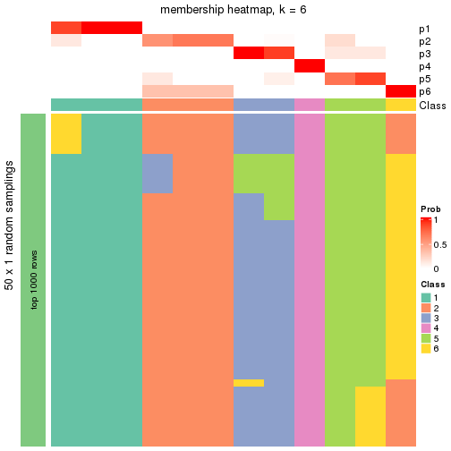 plot of chunk tab-node-0121-membership-heatmap-5