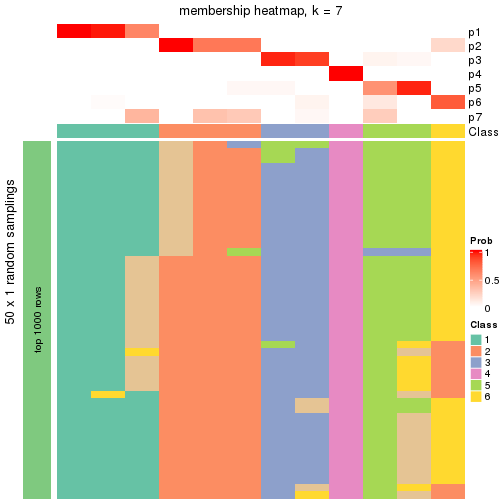 plot of chunk tab-node-0121-membership-heatmap-6