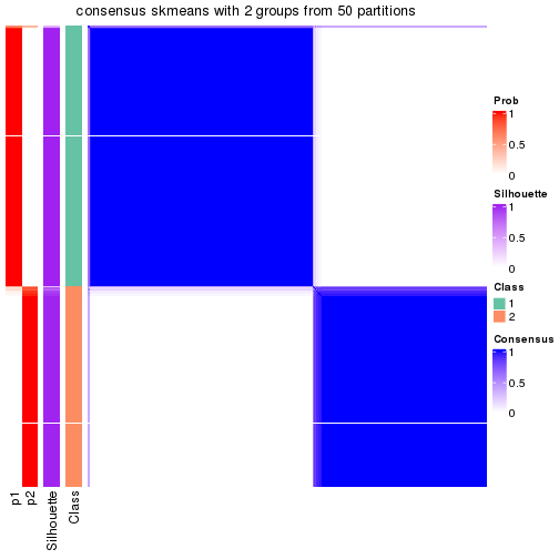 plot of chunk tab-node-02-consensus-heatmap-1