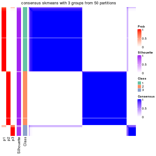 plot of chunk tab-node-02-consensus-heatmap-2