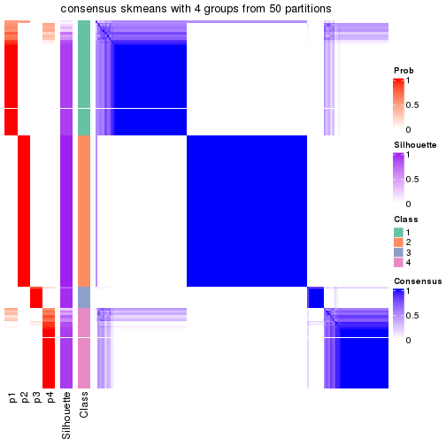 plot of chunk tab-node-02-consensus-heatmap-3