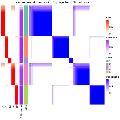 plot of chunk tab-node-02-consensus-heatmap-4