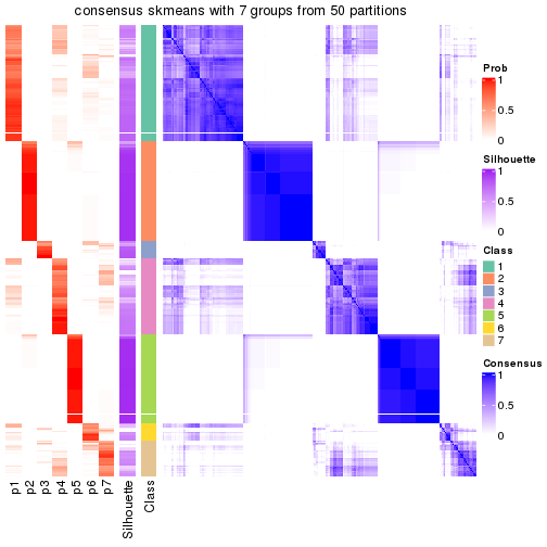 plot of chunk tab-node-02-consensus-heatmap-6