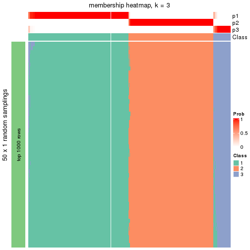 plot of chunk tab-node-02-membership-heatmap-2