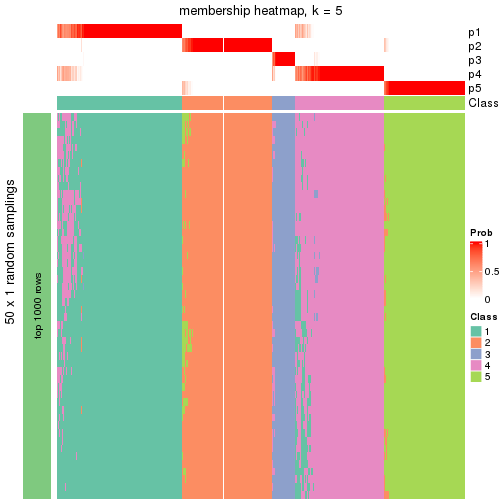 plot of chunk tab-node-02-membership-heatmap-4