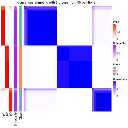 plot of chunk tab-node-021-consensus-heatmap-2