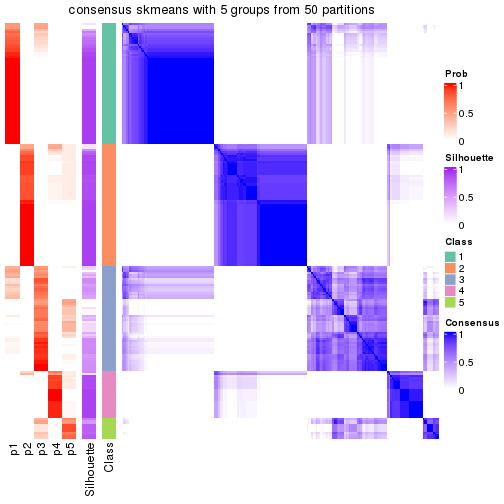 plot of chunk tab-node-021-consensus-heatmap-4