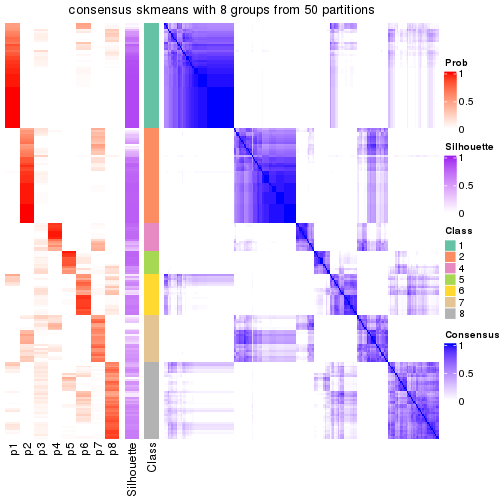 plot of chunk tab-node-021-consensus-heatmap-7