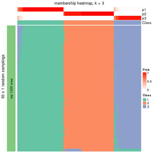 plot of chunk tab-node-021-membership-heatmap-2