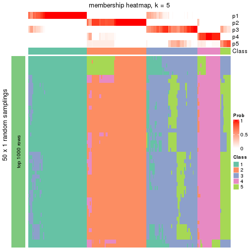 plot of chunk tab-node-021-membership-heatmap-4