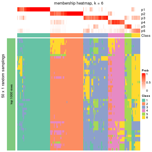 plot of chunk tab-node-021-membership-heatmap-5