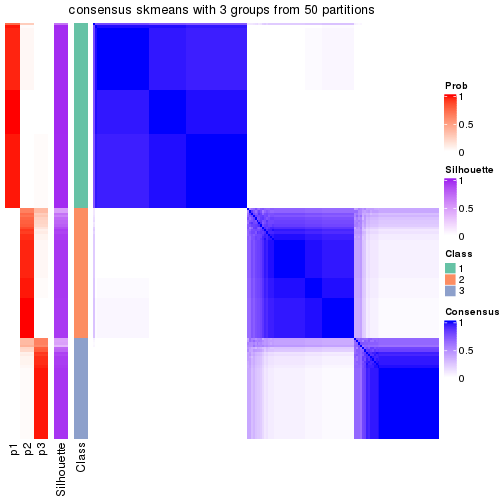 plot of chunk tab-node-022-consensus-heatmap-2