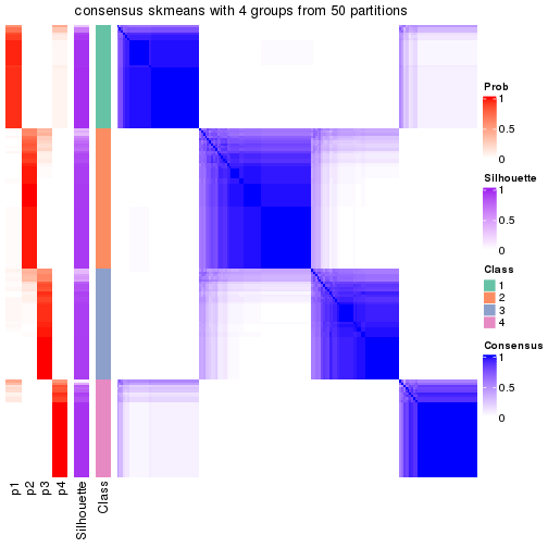 plot of chunk tab-node-022-consensus-heatmap-3