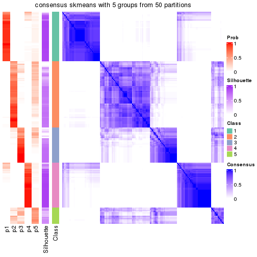 plot of chunk tab-node-022-consensus-heatmap-4